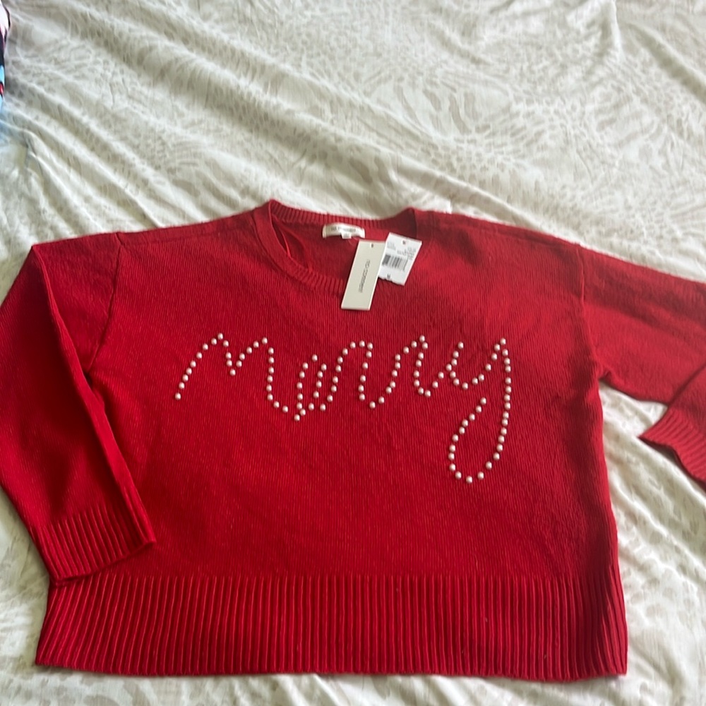 Holiday sweater, NWT